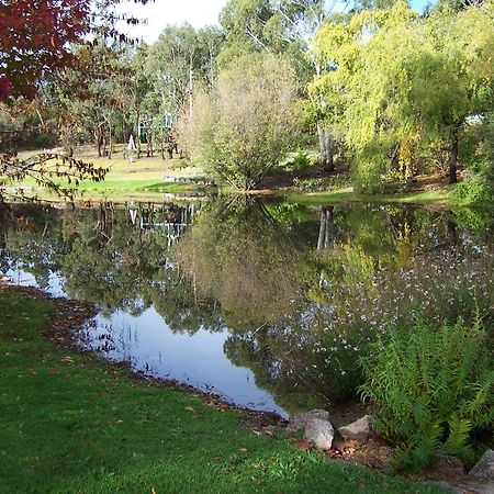Granite Gardens Cottages&Lake Retreat Stanthorpe Exterior foto