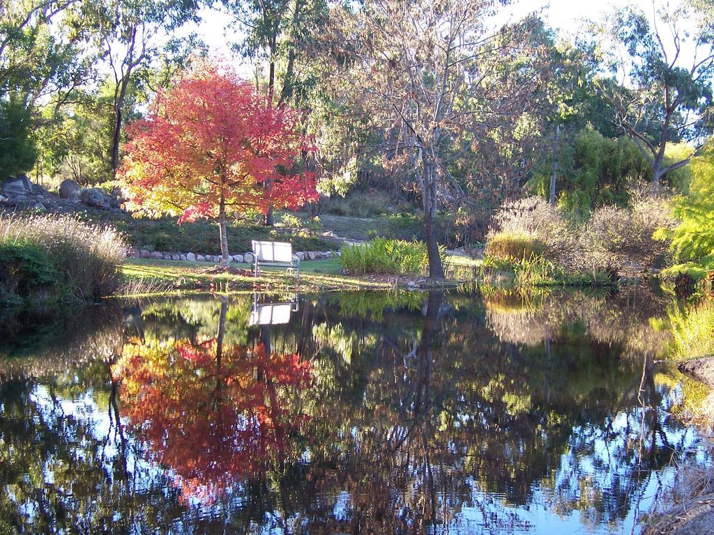 Granite Gardens Cottages&Lake Retreat Stanthorpe Exterior foto