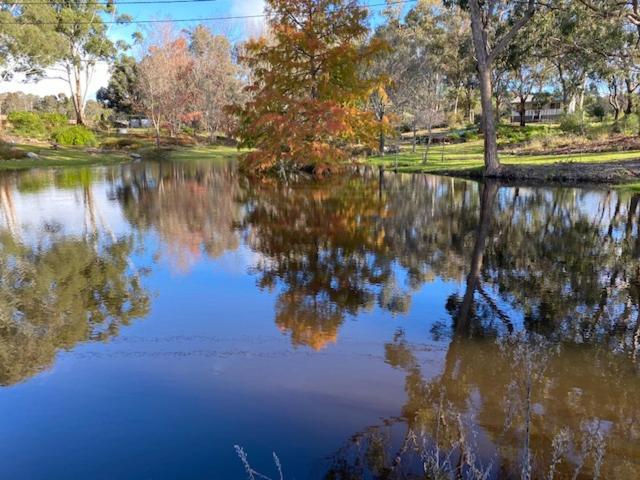 Granite Gardens Cottages&Lake Retreat Stanthorpe Exterior foto
