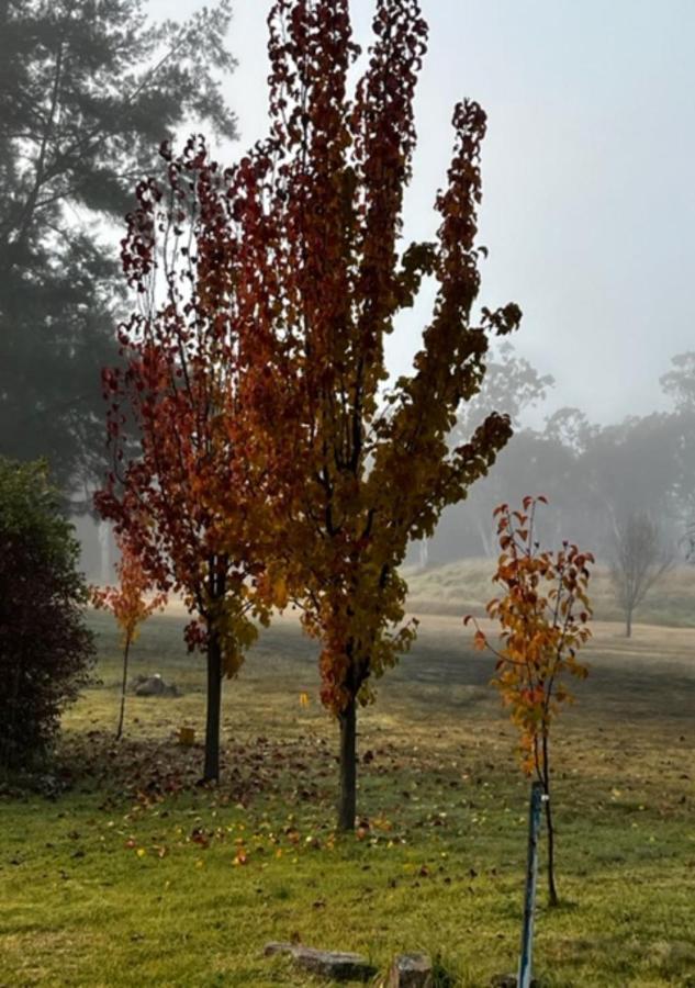 Granite Gardens Cottages&Lake Retreat Stanthorpe Exterior foto