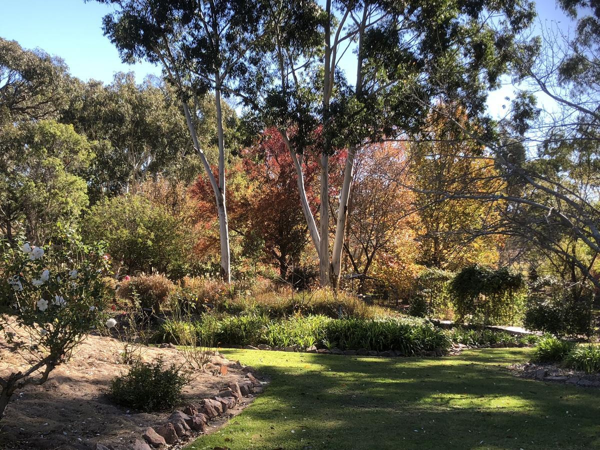 Granite Gardens Cottages&Lake Retreat Stanthorpe Exterior foto