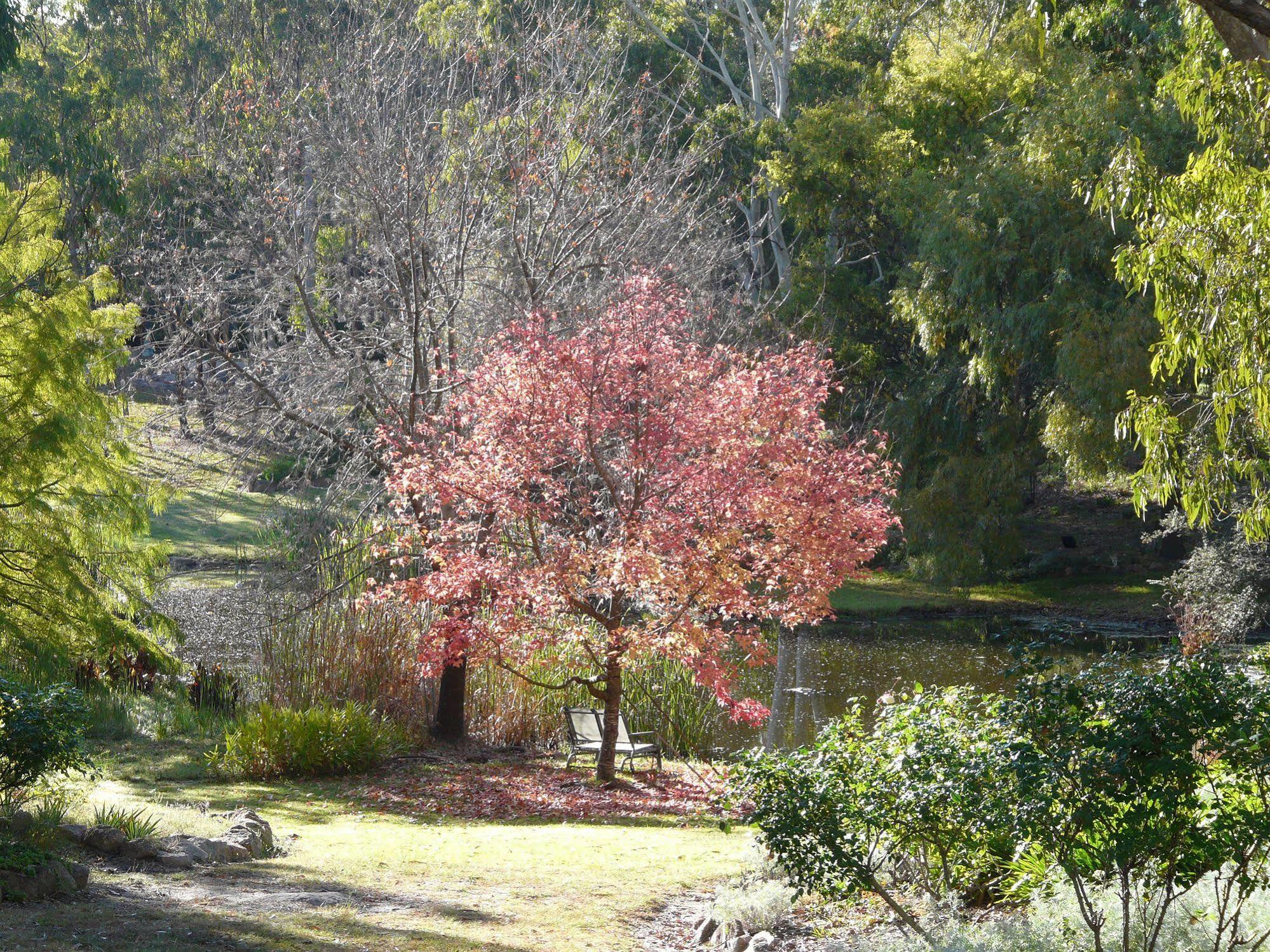 Granite Gardens Cottages&Lake Retreat Stanthorpe Exterior foto